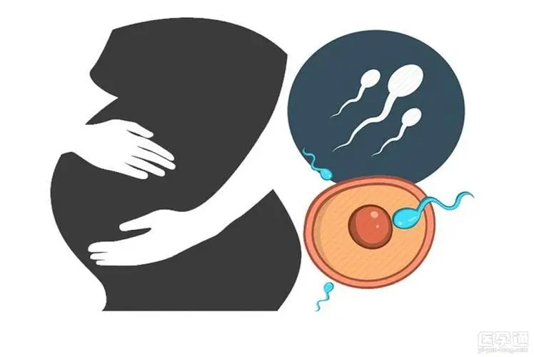 用别人的卵子做试管条件 可以用别人的卵泡做试管婴儿吗